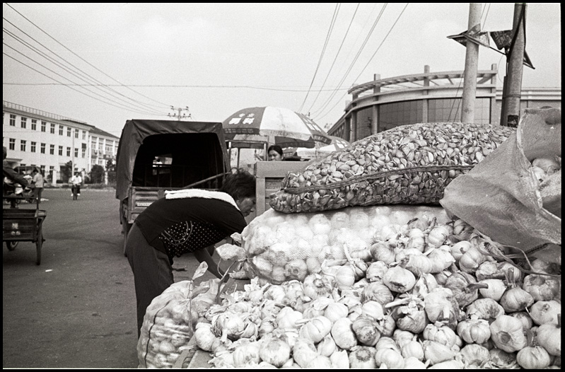 ©copyright Marco Giardini